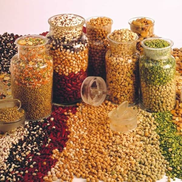 Produttore di legumi secchi, cereali.